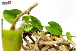 Controlling Cholesterol To Fighting Arthritis, 5 Health Benefits Of Giloy