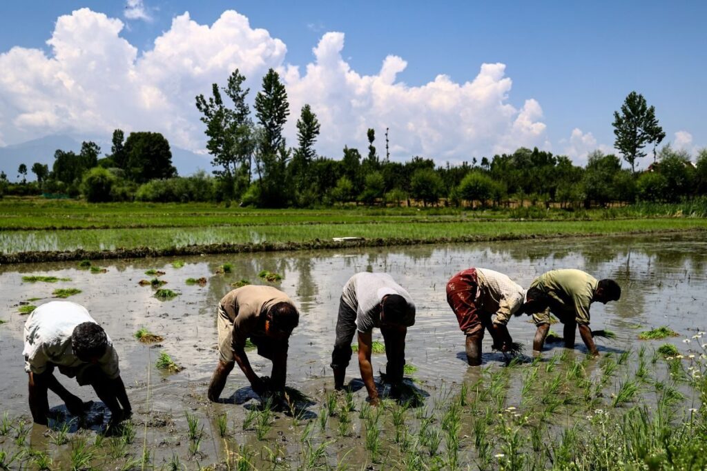 Monsoon Discontent: One-Third of India May Face A Dry Season Despite Excessive Rainfall in Northwest