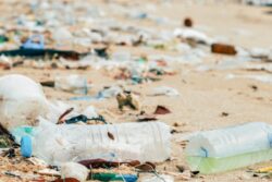 India, France to Work to Bolster Talks for Binding Instrument to End Plastic Pollution