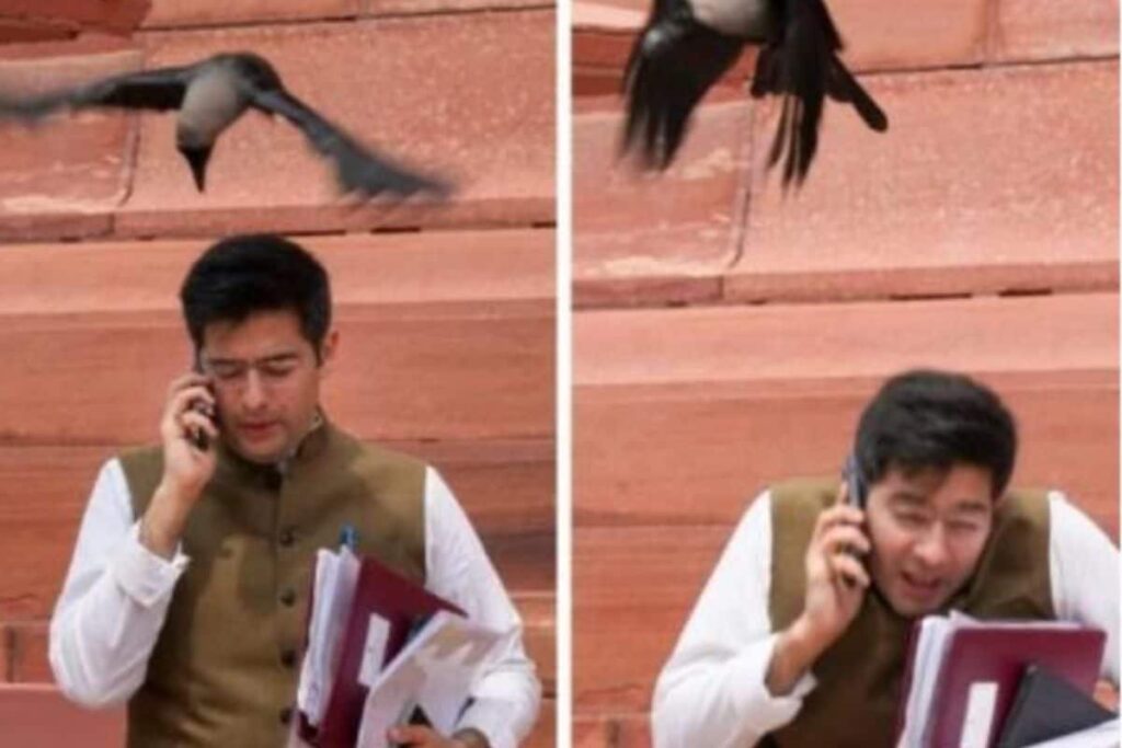 AAP’s MP Raghav Chadha Trolled With Memes After Crow Attack Outside Parliament