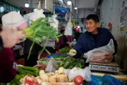 China GDP Growth Falls Short of Expectations, Youth Unemployment Reaches New High