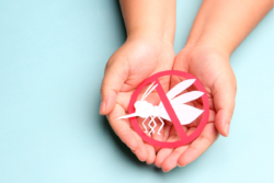 Dengue Cases On The Rise: Understand The Symptoms, Tests And Precautions