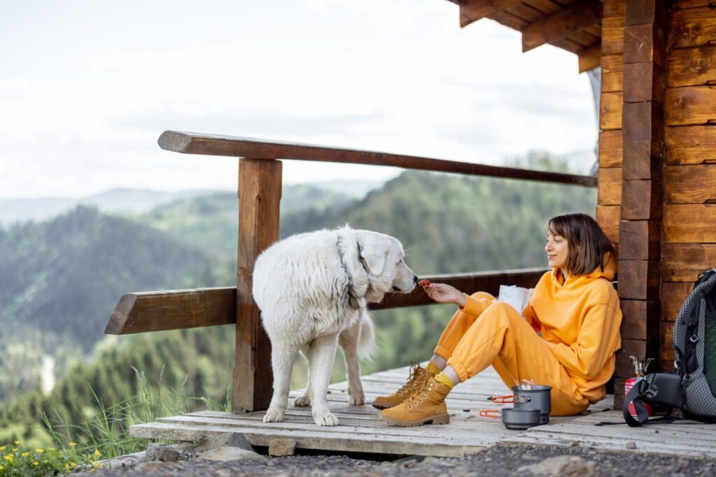 Travelling with Pets in Monsoon? 5 Tips for a Smooth and Safe Journey