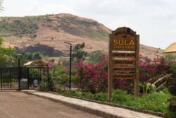 Looking For A Perfect Weekend Getaway? Explore These 5 Vineyards For An Unforgettable Experience