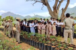 Green Committees, Mobile App: Tamil Nadu Govt on Tree Planting Spree, Ropes in School Students