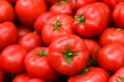 Tomato Prices Reduced to Rs 80 Per Kg, Fresh Rates Effective in Delhi, Noida & Other Cities | Details