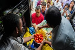 Centre Sells Tomatoes at Rs 90/kg in Delhi-NCR, Patna, As Tomato Prices Rule Up to Rs 250/kg