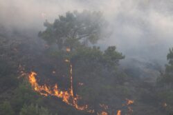 Greece: Rhodes Island Wildfire Terrifies Tourists During Peak Season, Thousands Flee