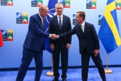 Erdogan Agrees to Support Sweden's NATO Bid, Lifts Turkish Veto