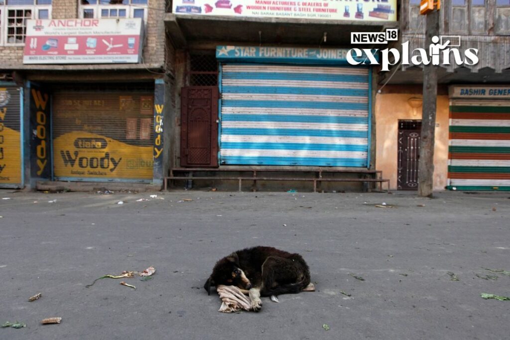 Chhattisgarh HC Awards Rs 6.5L Compensation for Stray Dog Attack Victim: Some Systemic Solutions