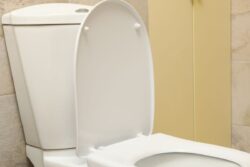 Hyderabad: Woman at Hair Clinic Held for Flushing Stolen Diamond Ring Down Toilet