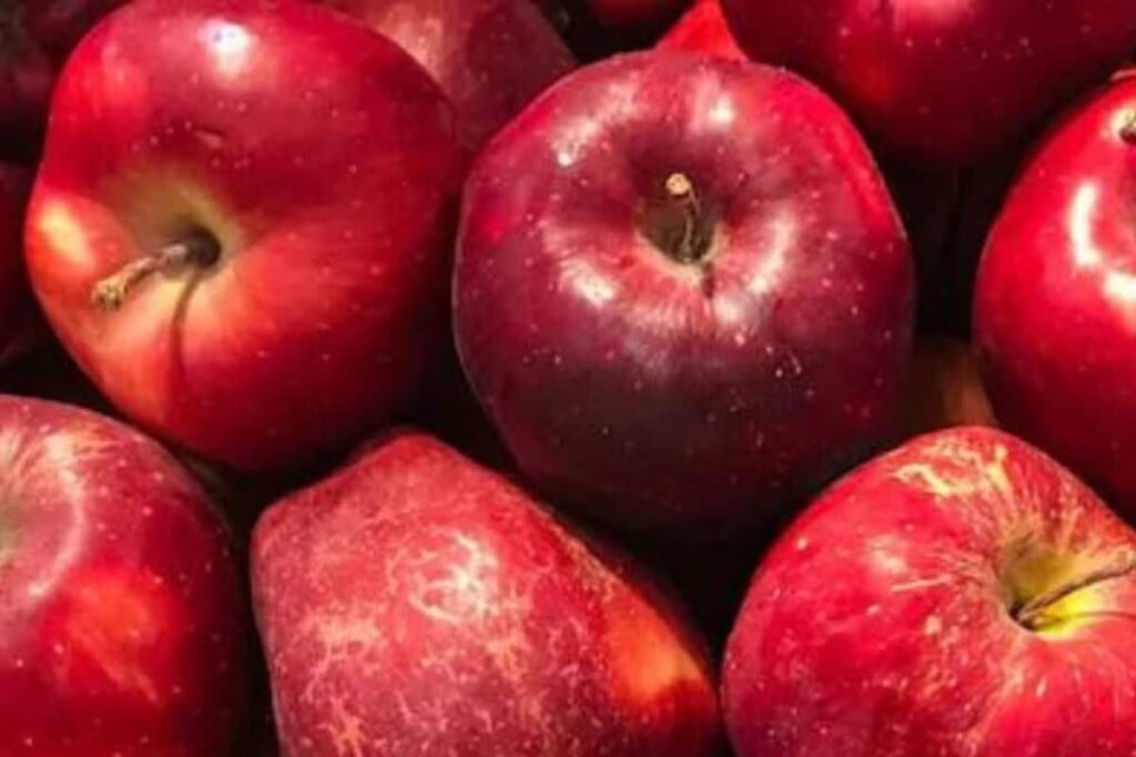 Bitter Tussle in Himachal over Govt Decision to Sell Apples by Weight in Mandis as Arhtiyas Announce Strike