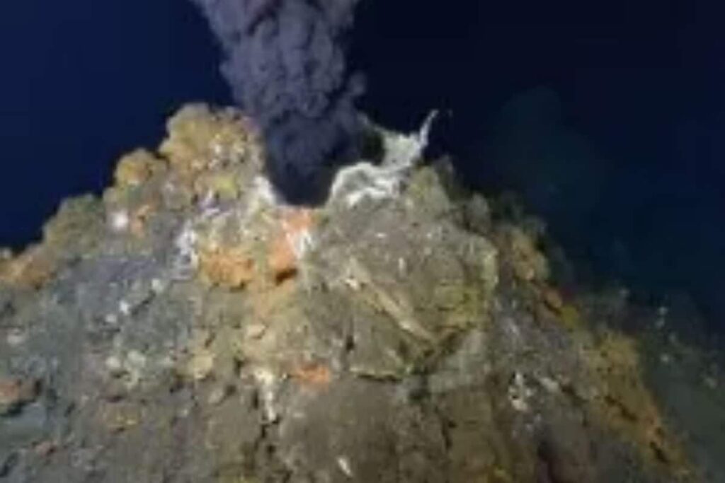 Deep Sea Mission: Underwater Vehicle, Specialised Ship to Hunt for Critical Mineral Deposits in Indian Ocean