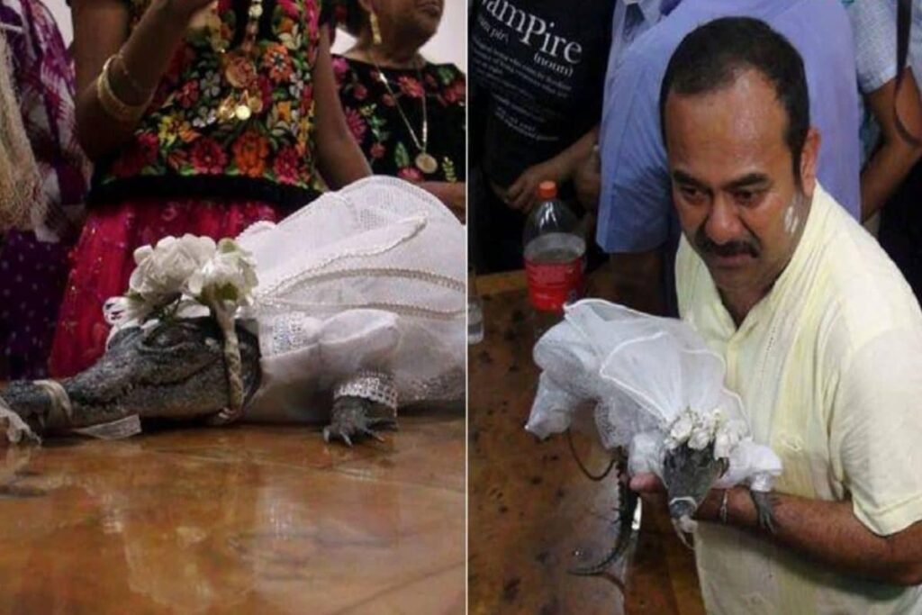 Mexican Mayor Victor Sosa 'Marries' Crocodile In A 200-Year Old Ritual, Know Why