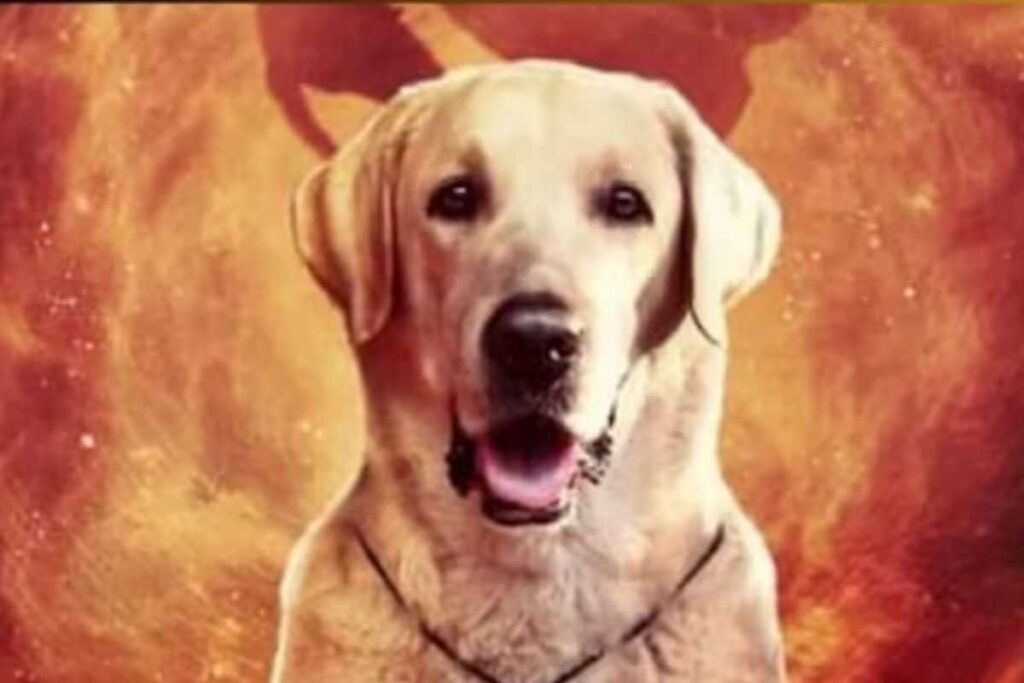 Naanu Matthu Gunda 2 Was Conceived During Climax Of 1st Part: Raghu Hassan