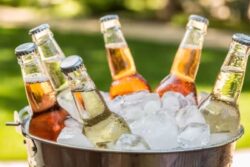 Kerala Cabinet Approves New Liquor Policy Promoting Toddy, Production of Beer, Foreign Liquor Within State