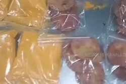 Discover Sirsi's Culinary Delight: A Highland Haven of Exquisite Flavours, Endless Variety