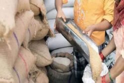 Update Stock Info Under Essential Commodities Act: Centre To Wheat-pulses Traders