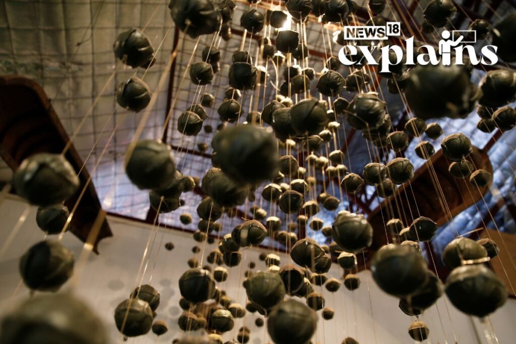 Banned in Over 100 Countries, What are the Deadly Cluster Bombs US Will Supply to Ukraine?