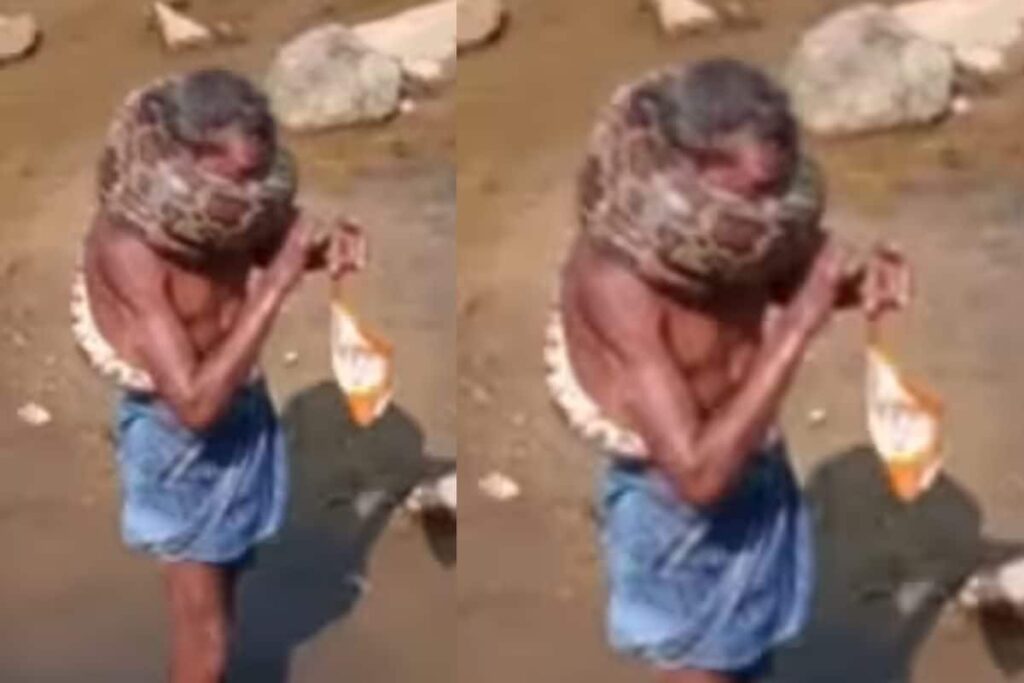 Watch: Python Tightly Wraps Itself Around Man's Neck And Then...