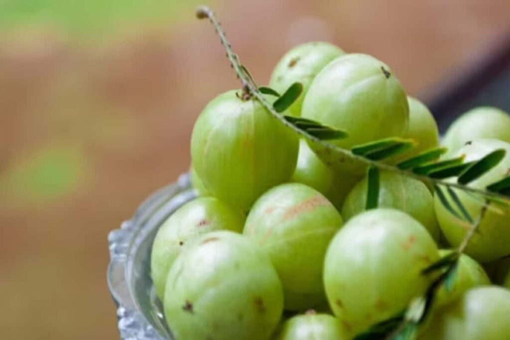 Worried About Premature Greying? 5 Things To Include In Your Diet