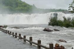No Tourist Visits To Bogotha Falls As Water Touches The Danger Mark