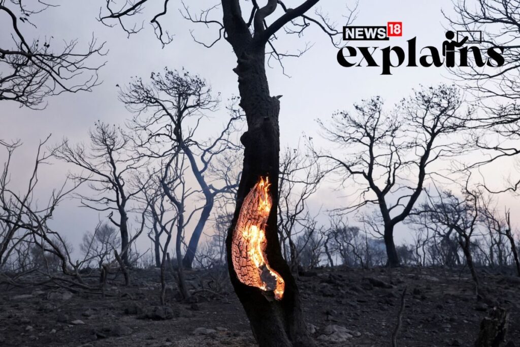 Heat Affects Not Just Body, But Also Brain: As High Temperatures Ravage World, a Look at Its Effects