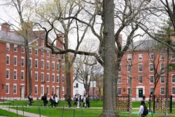 Harvard University Under US Government Probe Over ‘Legacy' Admissions Policy