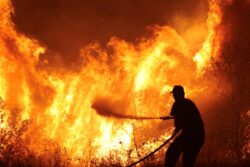 WATCH: Greek Wildfires Rage On, Fire Crews Battle Amid Strong Winds