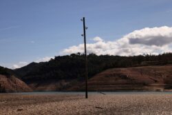 Woman, 56, in Faridabad Climbs Electric Pole, Claims Police Implicating Husband, Sons