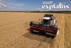 Russia Exits Grain Deal: Which Countries to be Worst-Hit & Options for Ukraine | Explained