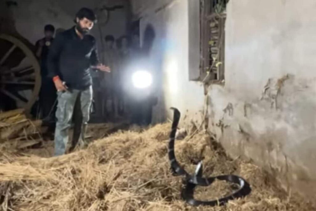 ‘Never Underestimate Snakes’: Meet This Reptile Catcher Who Runs One of UP’s Oldest Rescue Helplines