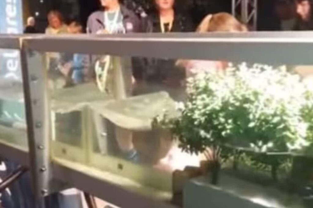 IFS Officer Explains How Mangroves Protect Land During Tsunamis And Cyclones