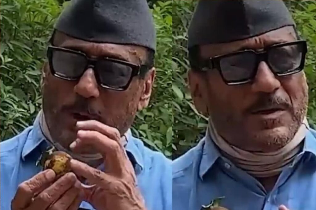Jackie Shroff's Baingan Ka Bharta Recipe Is Doing The Rounds, You Should Try It Too