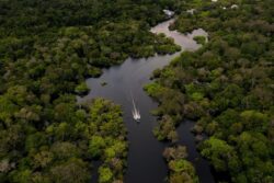 Amazon Neighbors Race to Save World's Biggest Rainforest