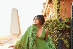 Hollywood On Strike: Priyanka Chopra's Heads Of State Shoot Halted