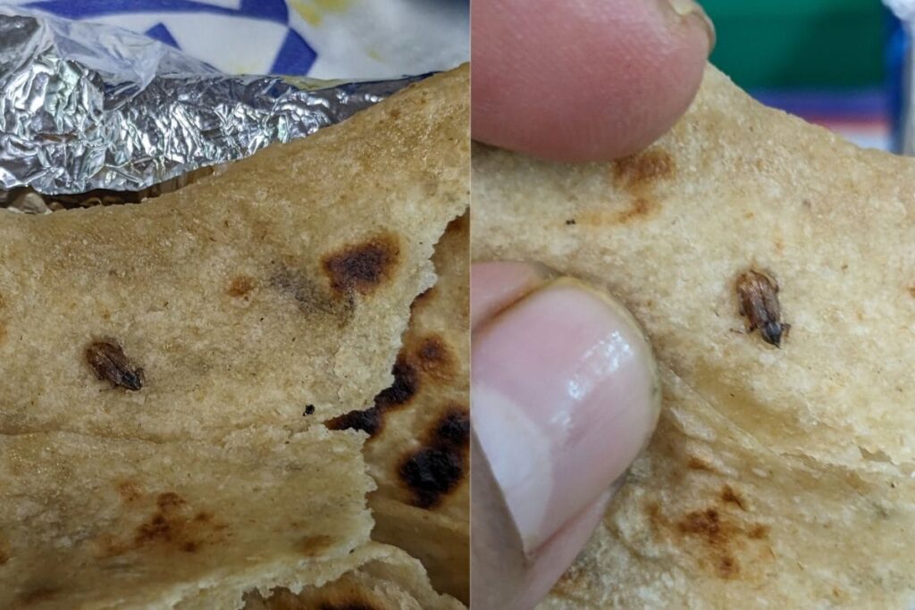 Passenger Finds Cockroach in Meal Served on Vande Bharat Express, IRCTC Responds