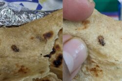 Passenger Finds Cockroach in Meal Served on Vande Bharat Express, IRCTC Responds