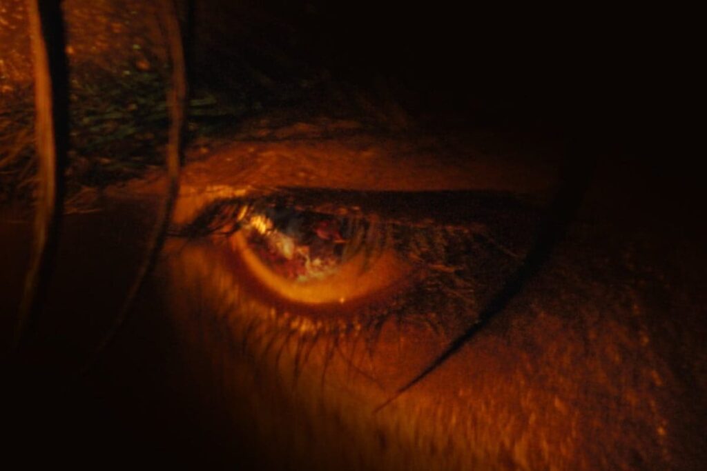 Jawan: Shah Rukh Khan Starrer Drops a Mysterious New Poster, Is It Vijay Sethupathi?