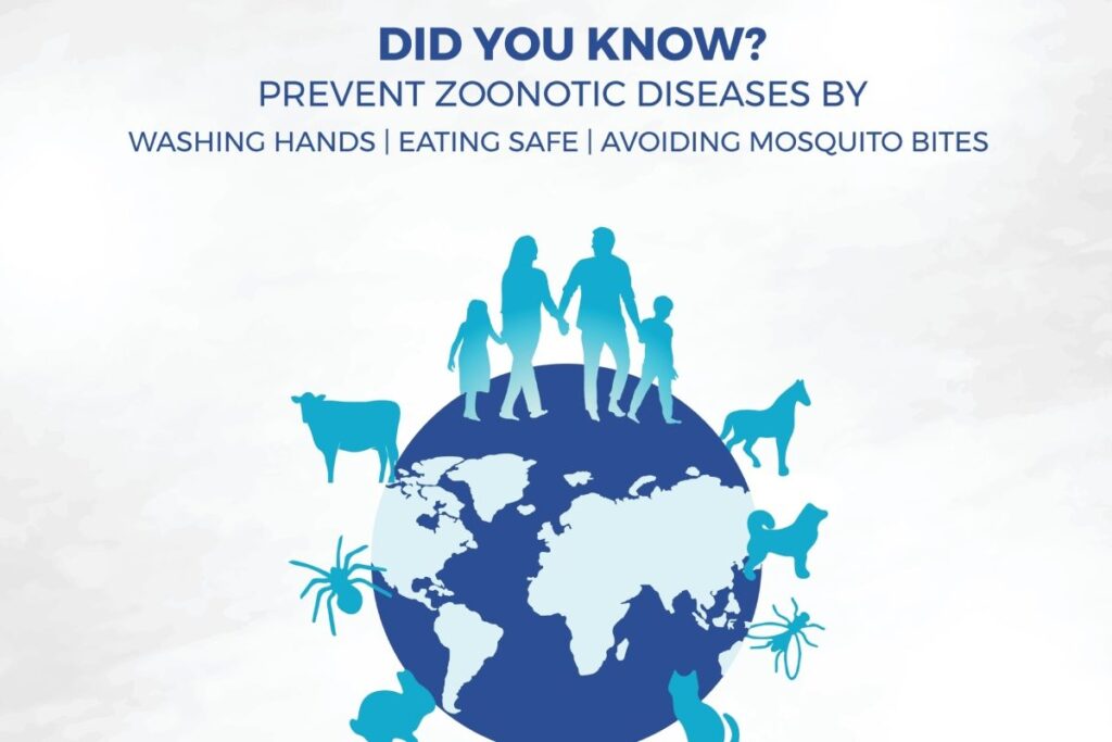 Why is July 6th World Zoonoses Day? History, Significance, and How to Celebrate