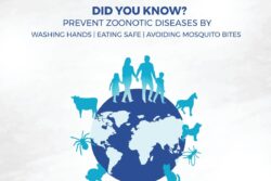 Why is July 6th World Zoonoses Day? History, Significance, and How to Celebrate