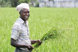PM to Release Rs 17,000 Crore to 8.5 Crore PM-KISAN Beneficiaries on Thursday