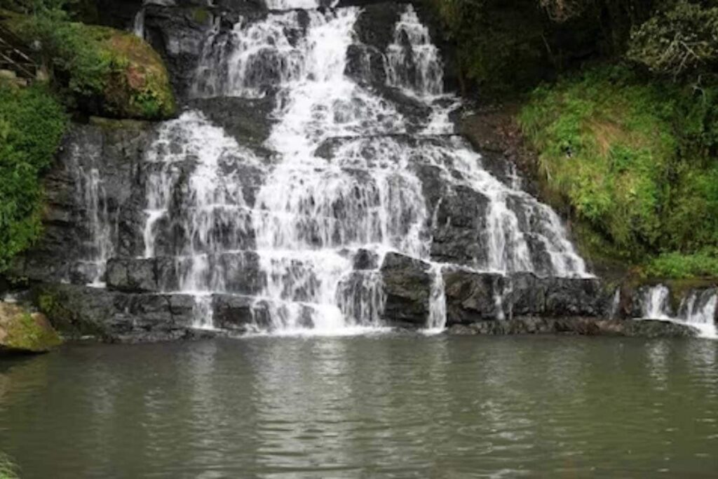 Maharashtra: Man Falls into Waterfall Near Ajanta Caves While Taking Selfie, Rescued