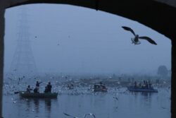 NGT Order Asking Delhi LG to Head High-level Committee for Cleaning Yamuna River Stayed