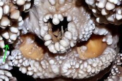 150,000-Year-Old Neanderthal Skeleton Unearthed In Italian Cave Offers Glimpse Into Prehistoric Past