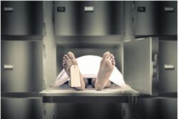 Kerala: Man Pulled from Burning Car Dies from His Injuries