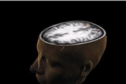 Brain Activity of Listeners Used to Recreate Classic Pink Floyd Number