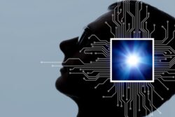 From 'Magical' to 'Rip it Out': Different Brain Implant Experiences