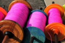 Ensure No Sale of Chinese Manjha During Kite-Flying Season Around I-Day: HC to Delhi Police