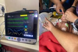 Toddler Revived By AIIMS Doctors On Bengaluru-Delhi Vistara Flight Dies of Health Complications